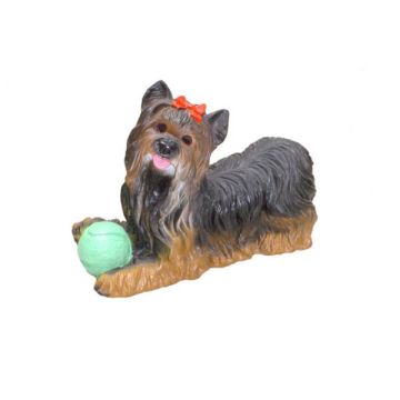 Yorkshire Terrier lebensgroß