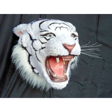 Tigerkopf weiß lebensgroß