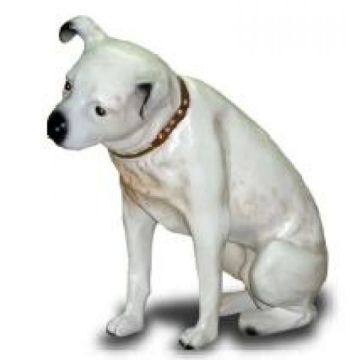 Pitbullterrier in Weiß Kampfhund lebensgroß