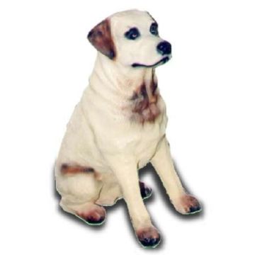 Golden Retriever lebensgroß