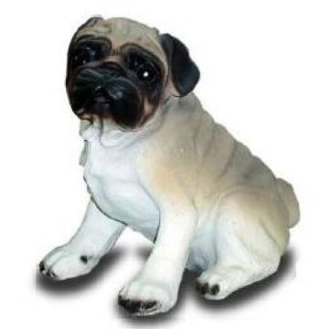 Mops sitzend lebensgroß