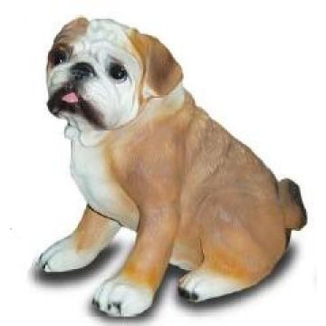 Mops mit Halsband in braun lebensgroß