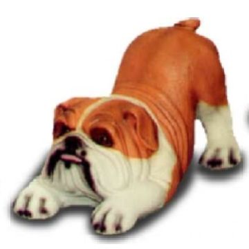 Mops streckend lebensgroß