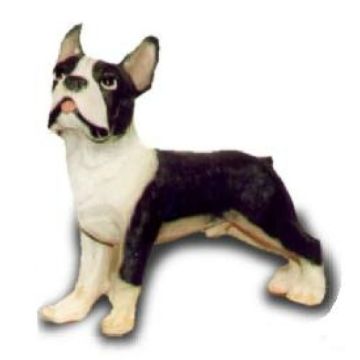 kleiner Kampfhund lebensgroß