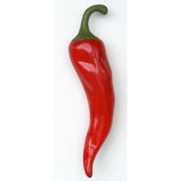 Pepperoni Chilli Rot übergroß XXL