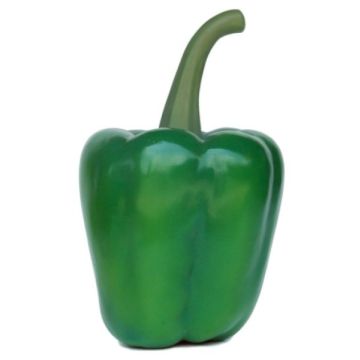 Paprika Grün übergroß XXL