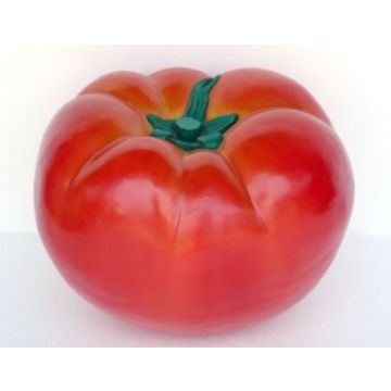 Tomate übergroß XXL