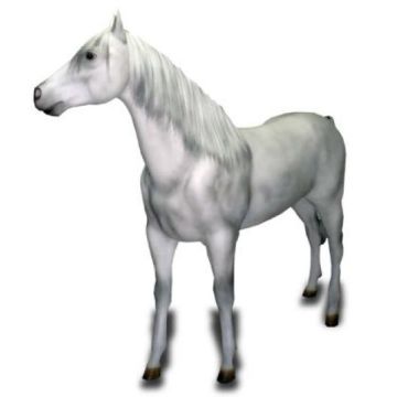 Schimmel Pferd mit Echthaar lebensgroß