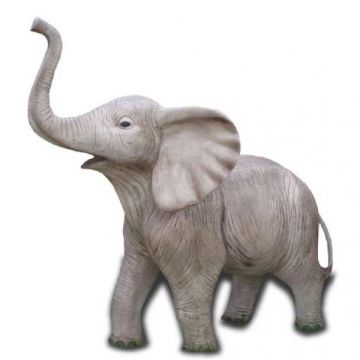 Kleiner Elefant lebensgroß
