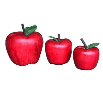 Apfel GFK vergrößert