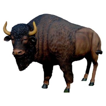 Bison lebensgroß