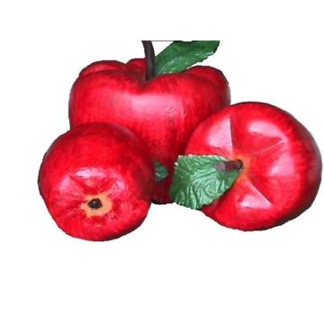 Apfel GFK vergrößert