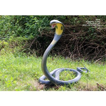 Königs Cobra Schlange 5m lebensgroß
