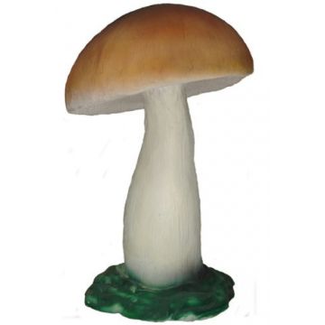Steinpilz vergrößert