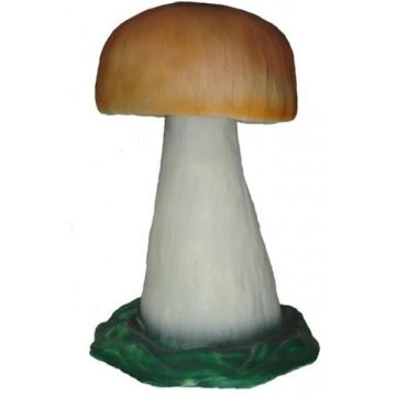 Steinpilz 2 vergrößert
