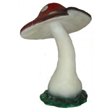 Fliegenpilz vergrößert