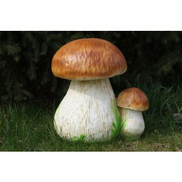 Steinpilze vergrößert