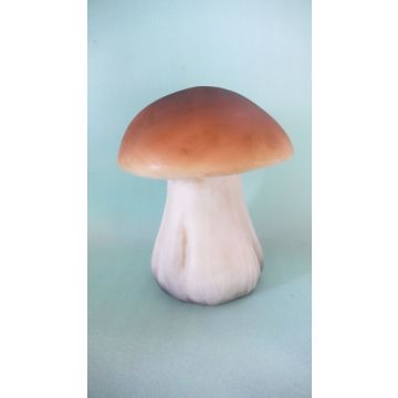 Kleiner Steinpilz vergrößert
