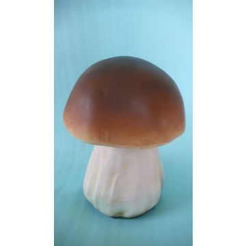 Kleiner Steinpilz 2 vergrößert