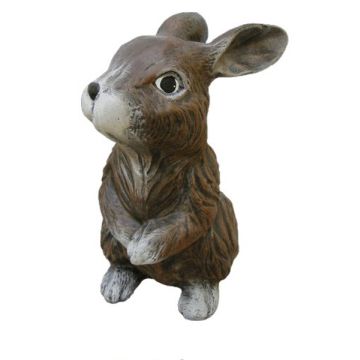 Hase klein lebensgroß