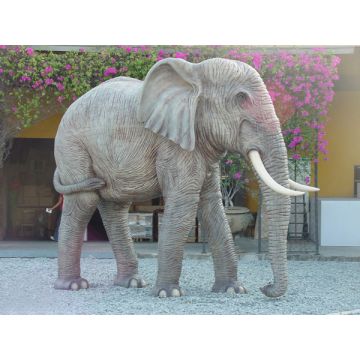 Elefant lebensgroß Rüssel unten lebensgroß