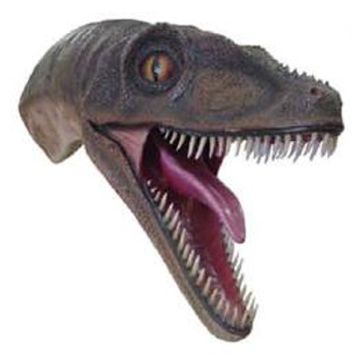 Velociraptor Kopf für die Wandmontage lebensgroß