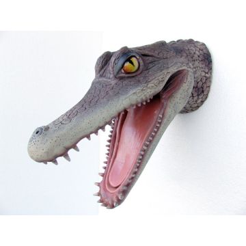 Alligatorkopf lebensgroß