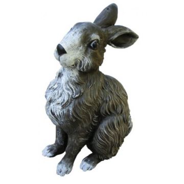 Hase klein lebensgroß