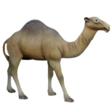Camel  lebensgroß