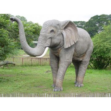 Elefant lebensgroß Rüssel oben lebensgroß