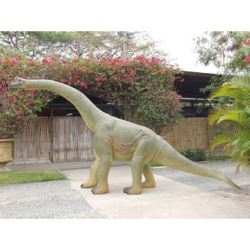 Saurier Baby Brachiosaurus lebensgroß