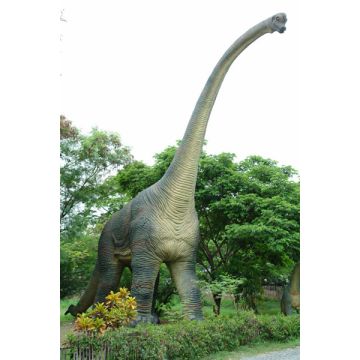 Brachiosaurier XXL lebensgroß