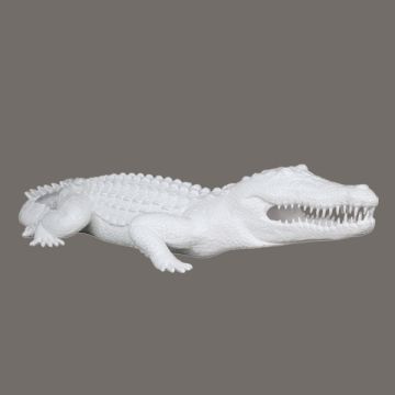 weißes Krokodil lebensgroß