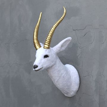 weißer Gazellenkopf mit goldenem Geweih lebensgroß