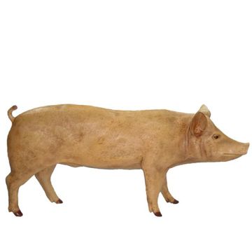 Schwein lebensgroß lebensgroß