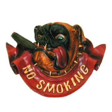 No Smoking-Schild verkleinert