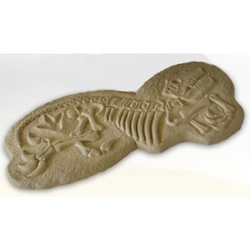 Dinosaurier Fossil lebensgroß