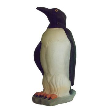 Pinguin vergrößert