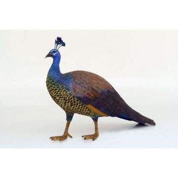 Pfau Weibchen lebensgroß