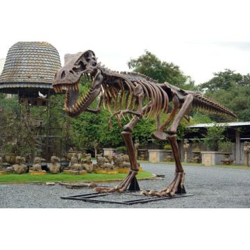 T-Rex Skelett lebensgroß