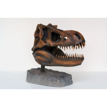 T-Rex Kopf als Skelett lebensgroß
