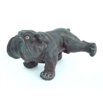 Bulldogge pinkelnd verkleinert