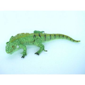 kleine Leguan grün lebensgroß