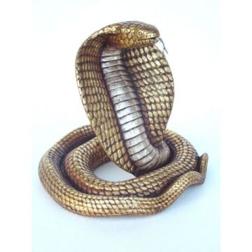 Goldene Cobra lebensgroß