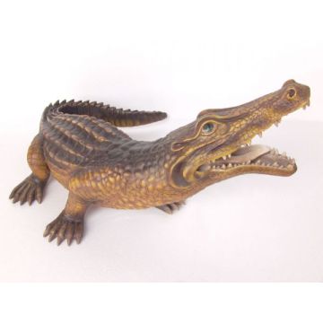 Kleines Krokodil lebensgroß