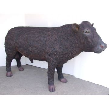 Schwarzer Angus Bulle lebensgroß
