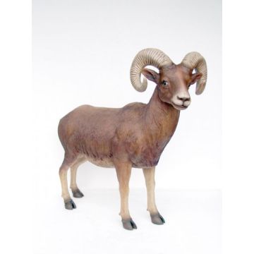 Steinbock lebensgroß