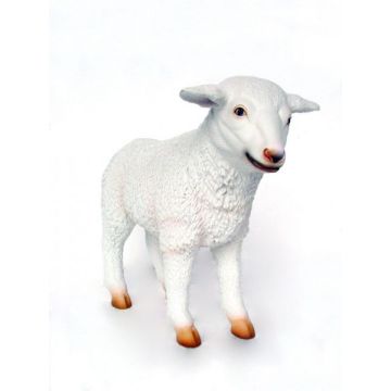 Süßes Lamm lebensgroß