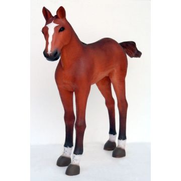 Baby Fohlen lebensgroß