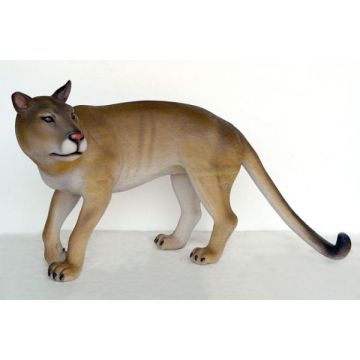 Puma Kuguar lebensgroß